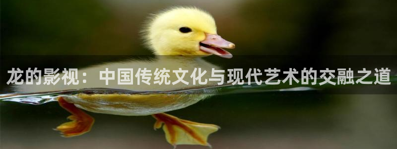 家庭私人影院网站