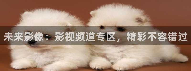 九九影院理论片私人影院