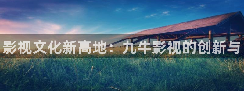 陕西私人影院公司