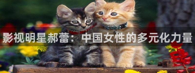 东莞有私人电影院吗